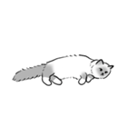 にけにけキャットドローイング（個別スタンプ：14）