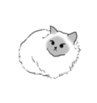 にけにけキャットドローイング（個別スタンプ：31）