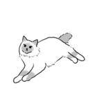 にけにけキャットドローイング（個別スタンプ：32）