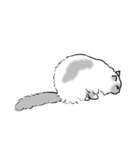 にけにけキャットドローイング（個別スタンプ：33）