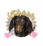 ココ〜！（個別スタンプ：1）