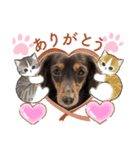 ココ〜！（個別スタンプ：2）