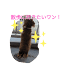 ココ〜！（個別スタンプ：3）