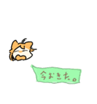パンデサンスタンプ3（個別スタンプ：25）