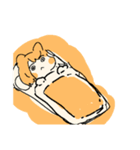 パンデサンスタンプ3（個別スタンプ：30）