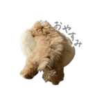 犬のロキくん（個別スタンプ：1）
