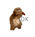 犬のロキくん（個別スタンプ：4）