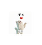 韓国語会話 サモエド犬KRJP 6rG（個別スタンプ：1）