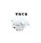 韓国語会話 サモエド犬KRJP 6rG（個別スタンプ：4）