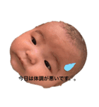 面白い日常です。（個別スタンプ：4）