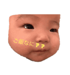 面白い日常です。（個別スタンプ：8）