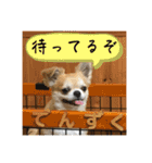 でんずくスタンプ③（個別スタンプ：4）