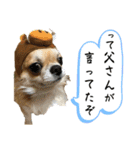 でんずくスタンプ③（個別スタンプ：5）