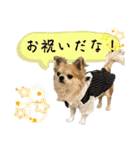 でんずくスタンプ③（個別スタンプ：10）
