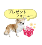 でんずくスタンプ③（個別スタンプ：11）