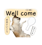 でんずくスタンプ③（個別スタンプ：14）
