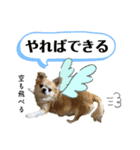 でんずくスタンプ③（個別スタンプ：16）