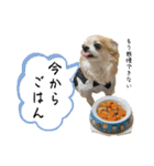 でんずくスタンプ③（個別スタンプ：19）