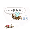 でんずくスタンプ③（個別スタンプ：21）