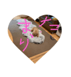 キヨッタ福丸さん2（個別スタンプ：3）