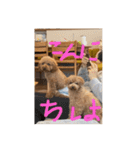 キヨッタ福丸さん2（個別スタンプ：7）