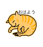 祝猫あざらし初デカ文字ほんわか日常挨拶（個別スタンプ：1）