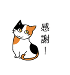 祝猫あざらし初デカ文字ほんわか日常挨拶（個別スタンプ：2）