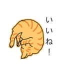 祝猫あざらし初デカ文字ほんわか日常挨拶（個別スタンプ：8）