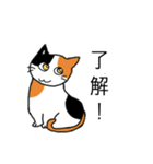 祝猫あざらし初デカ文字ほんわか日常挨拶（個別スタンプ：9）