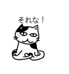 祝猫あざらし初デカ文字ほんわか日常挨拶（個別スタンプ：12）