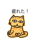 祝猫あざらし初デカ文字ほんわか日常挨拶（個別スタンプ：23）