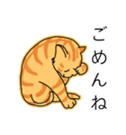 祝猫あざらし初デカ文字ほんわか日常挨拶（個別スタンプ：29）