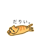 祝猫あざらし初デカ文字ほんわか日常挨拶（個別スタンプ：37）