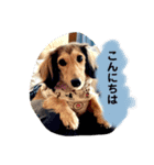 りん☆everyday5（個別スタンプ：2）