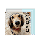 りん☆everyday5（個別スタンプ：3）