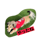 りん☆everyday5（個別スタンプ：8）