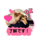 りん☆everyday5（個別スタンプ：13）