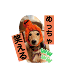 りん☆everyday5（個別スタンプ：14）