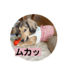 りん☆everyday5（個別スタンプ：16）