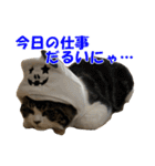 石田家のネコたち（個別スタンプ：5）