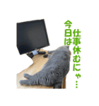石田家のネコたち（個別スタンプ：6）