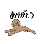 リアルなうちの犬（個別スタンプ：1）