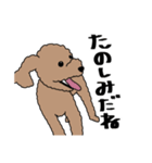 リアルなうちの犬（個別スタンプ：3）