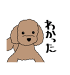 リアルなうちの犬（個別スタンプ：5）