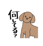 リアルなうちの犬（個別スタンプ：7）