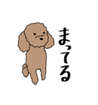 リアルなうちの犬（個別スタンプ：11）