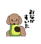 リアルなうちの犬（個別スタンプ：12）