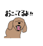 リアルなうちの犬（個別スタンプ：14）