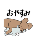 リアルなうちの犬（個別スタンプ：16）