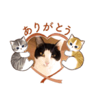 保護猫カフェもりのねこさん❤️1（個別スタンプ：15）
